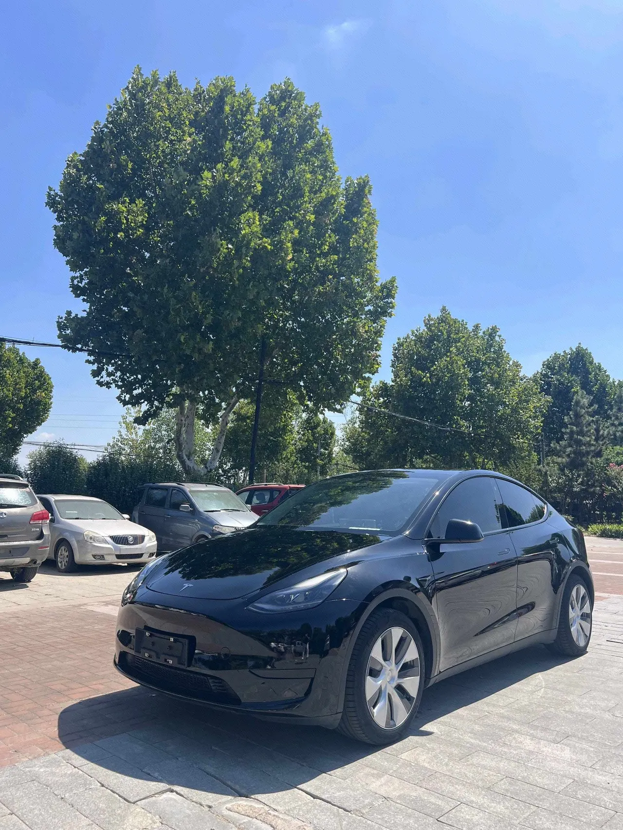 Tesla 2022 Model Y rear-wheel drive version automatic transmission - View 1