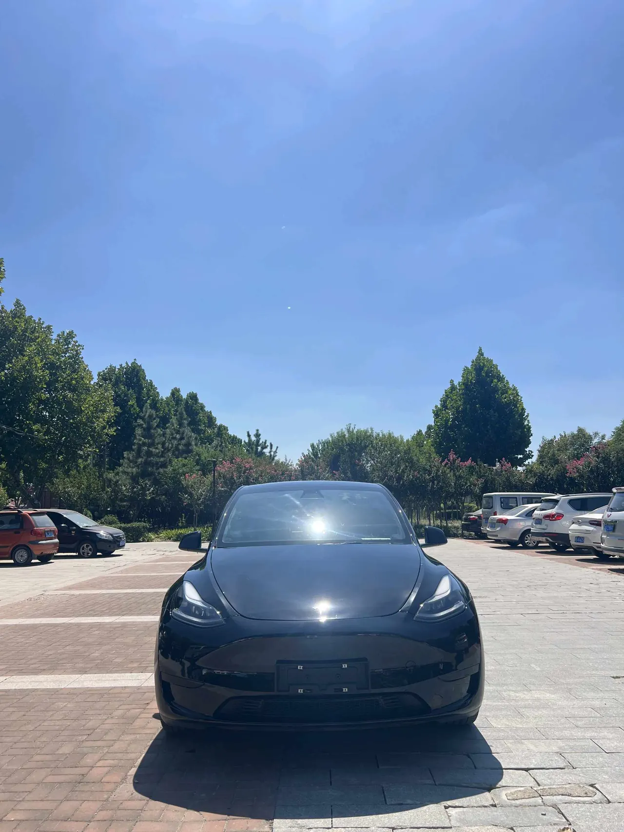 Tesla 2022 Model Y rear-wheel drive version automatic transmission 2