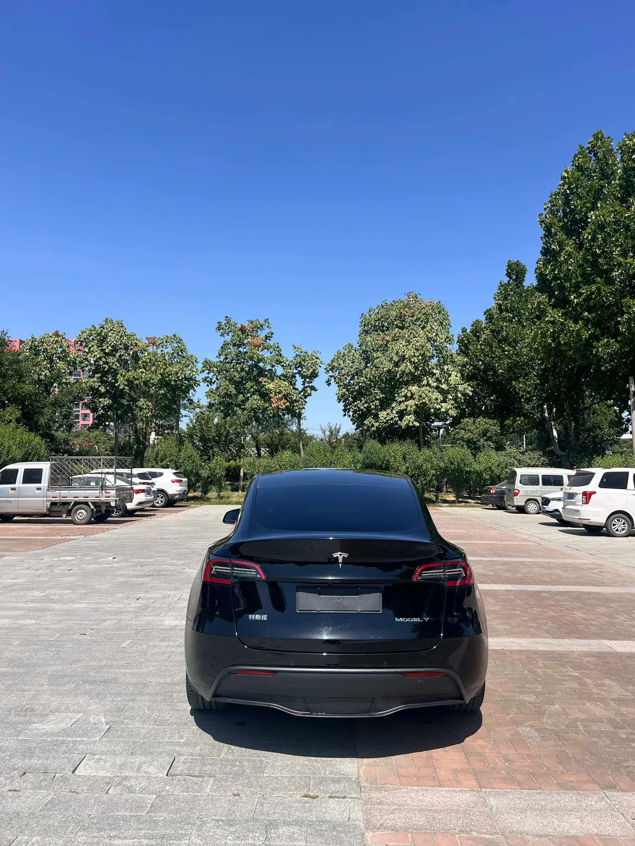 Tesla 2022 Model Y rear-wheel drive version automatic transmission 8