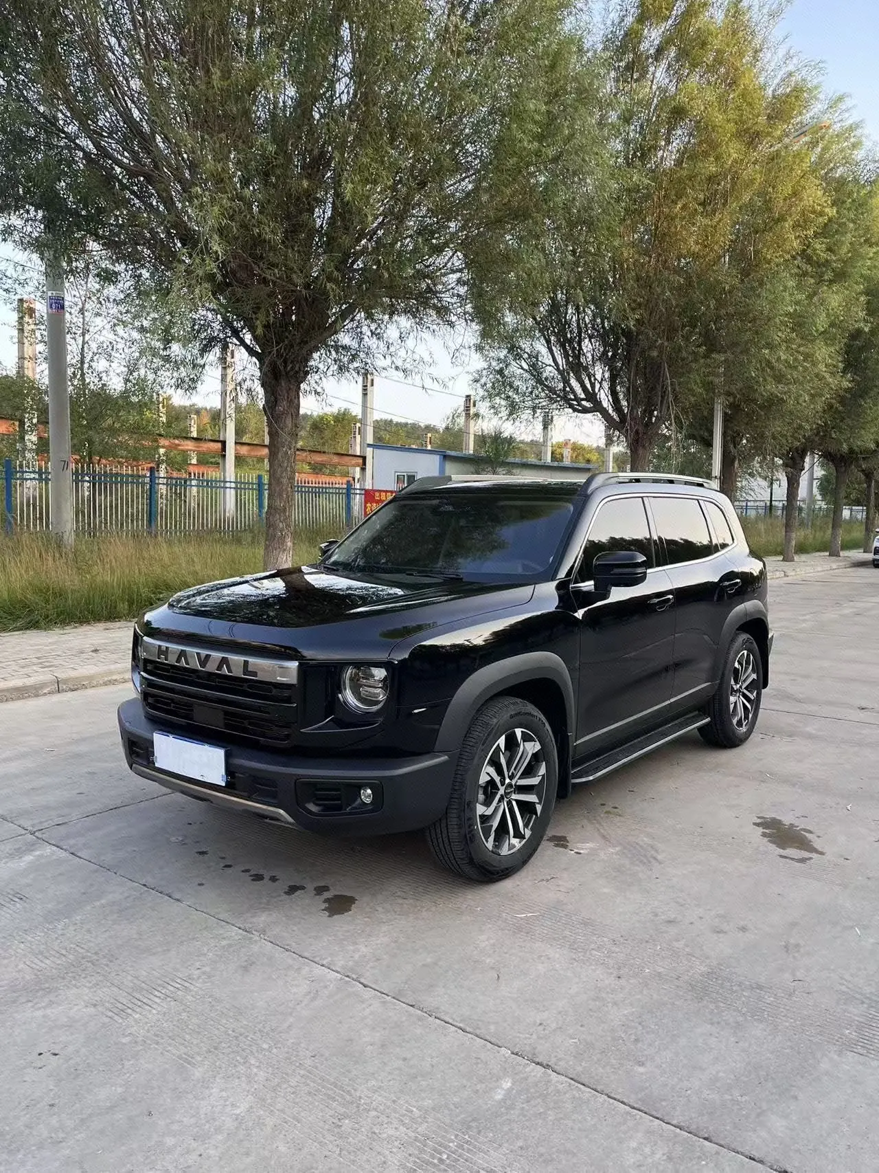 Haval 2024 big dogs 1.5T border animal husbandry version of automatic gear - View 1