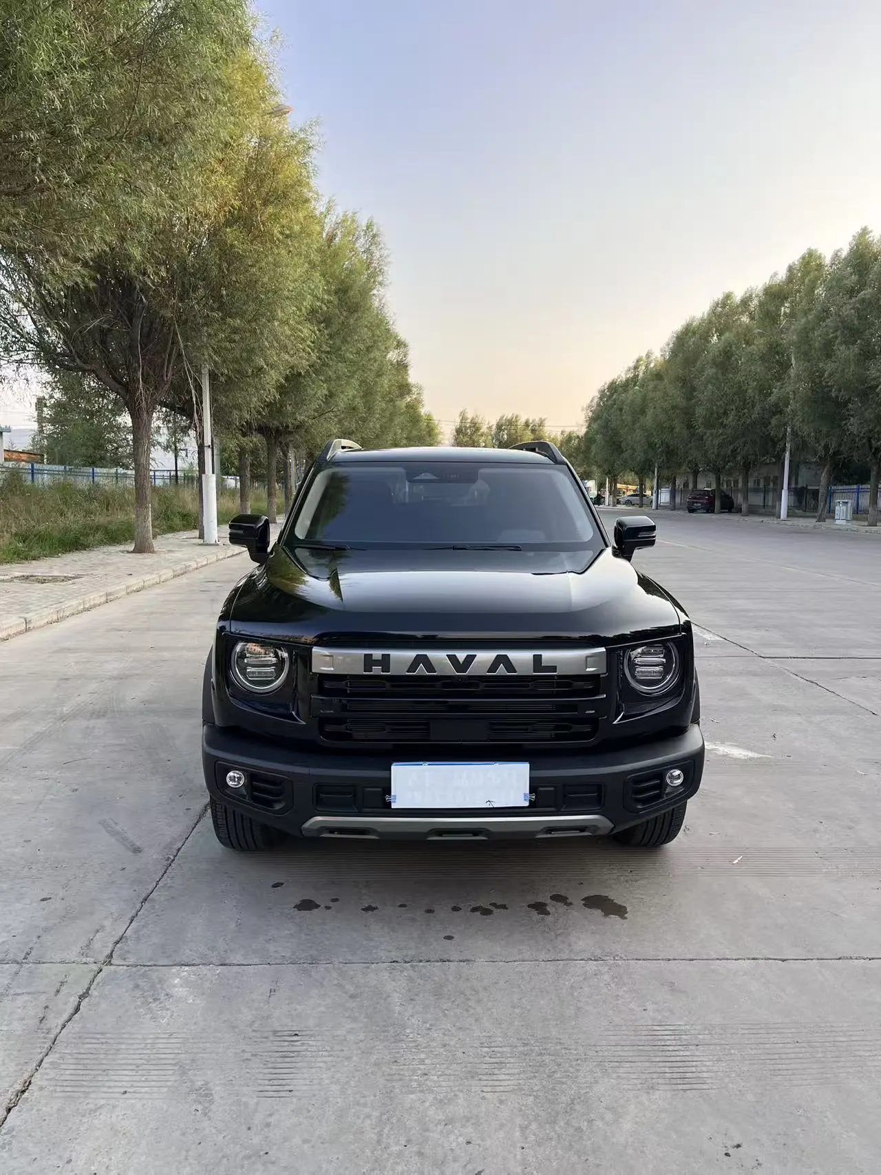 Haval 2024 big dogs 1.5T border animal husbandry version of automatic gear 3
