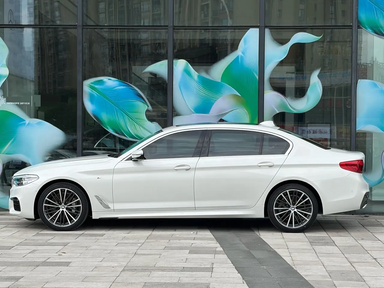 BMW 5 Series 2020 530Li 2.0T Exclusive M Sports Suit Automatic Gear 4
