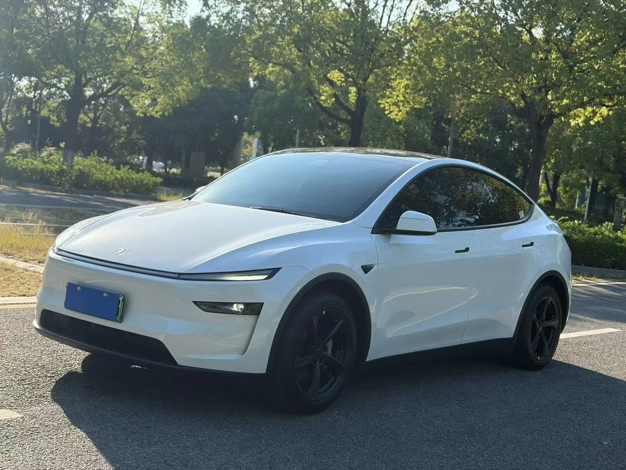 Tesla 2026 Model Y Rear-Wheel-Drive Automatic - View 1