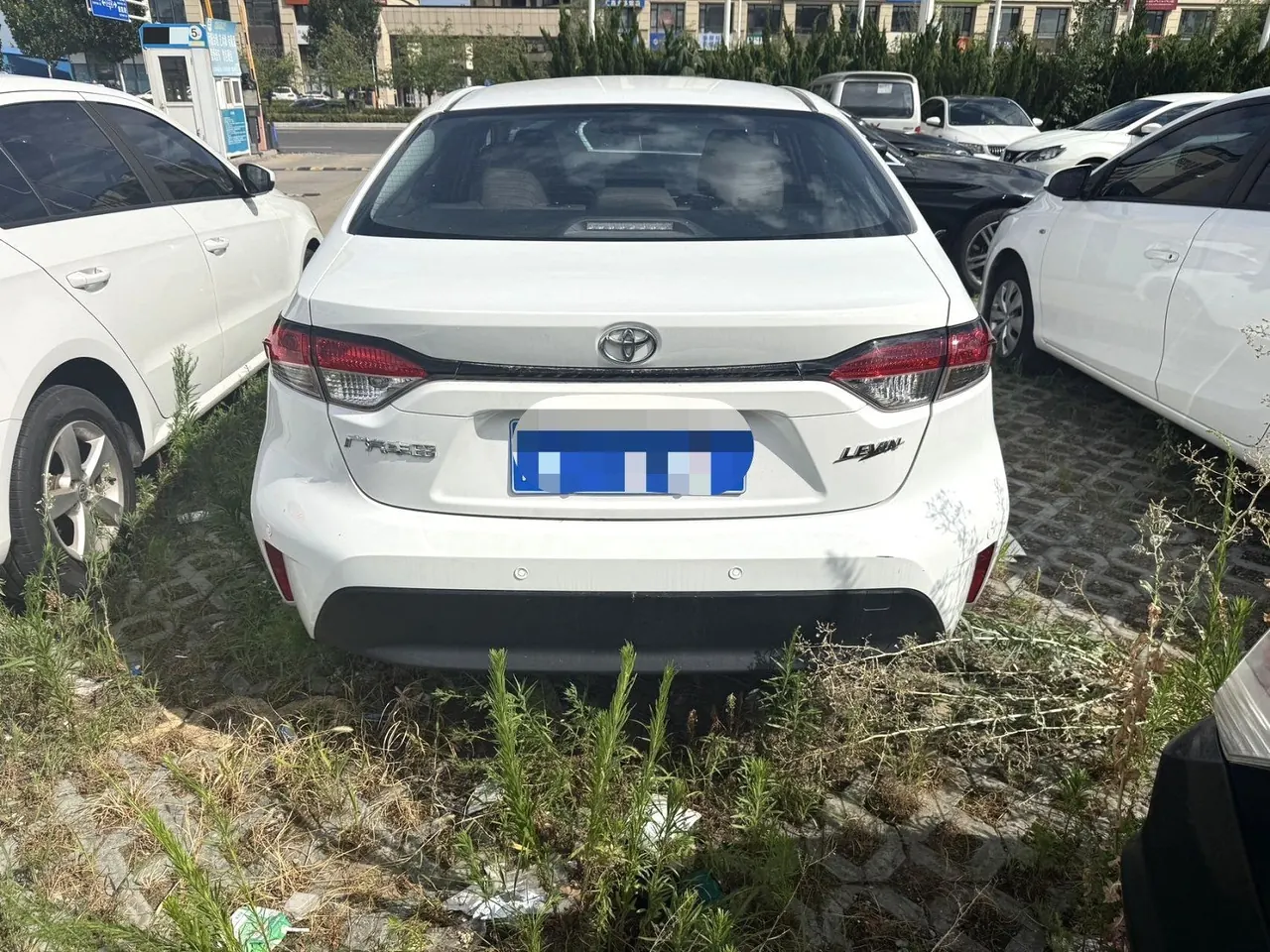 Toyota 2023 Lei Ling 1.5 Stepless TNGA Enterprising Automatic Gear 7