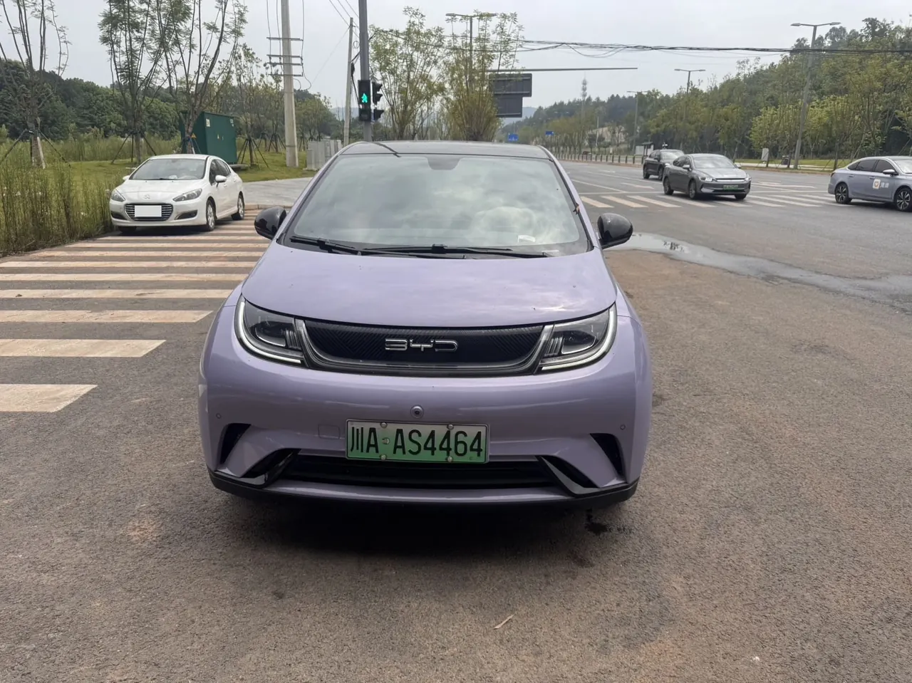 BYD 2023 Dolphin 420km Fashion Edition Automatic 2