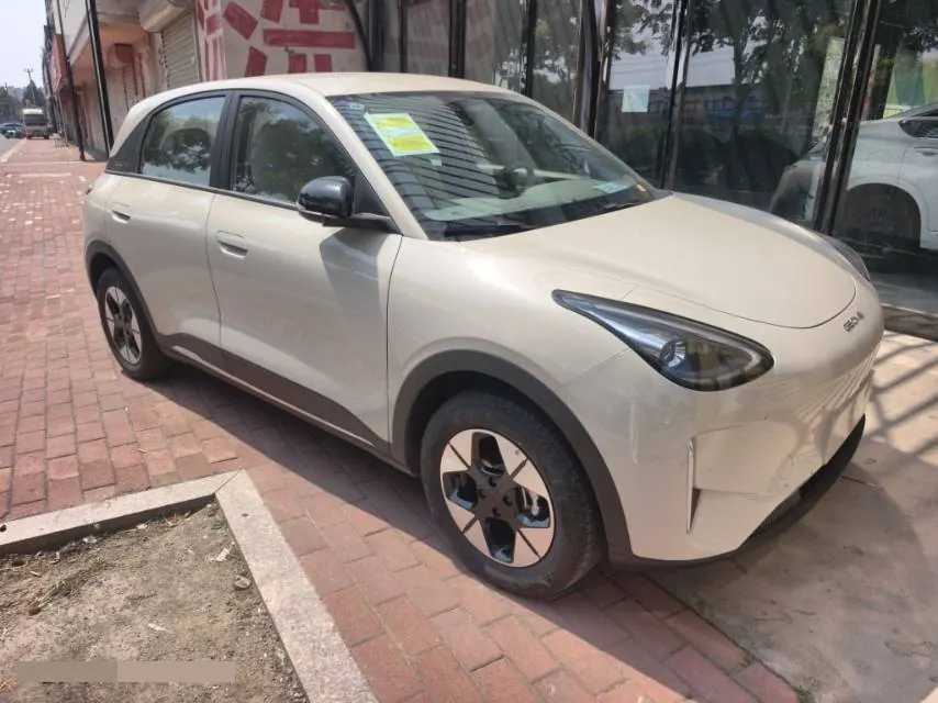 Geely 2026 Star Wish 310km Wind Edition Automatic Gear 3