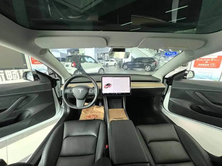 Tesla 2020 Model 3 Standard Endurance Rear Drive Upgraded Automatic Gear 4