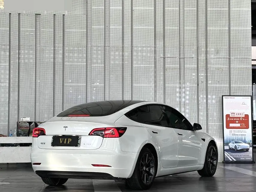 Tesla 2020 Model 3 Standard Endurance Rear Drive Upgraded Automatic Gear 6