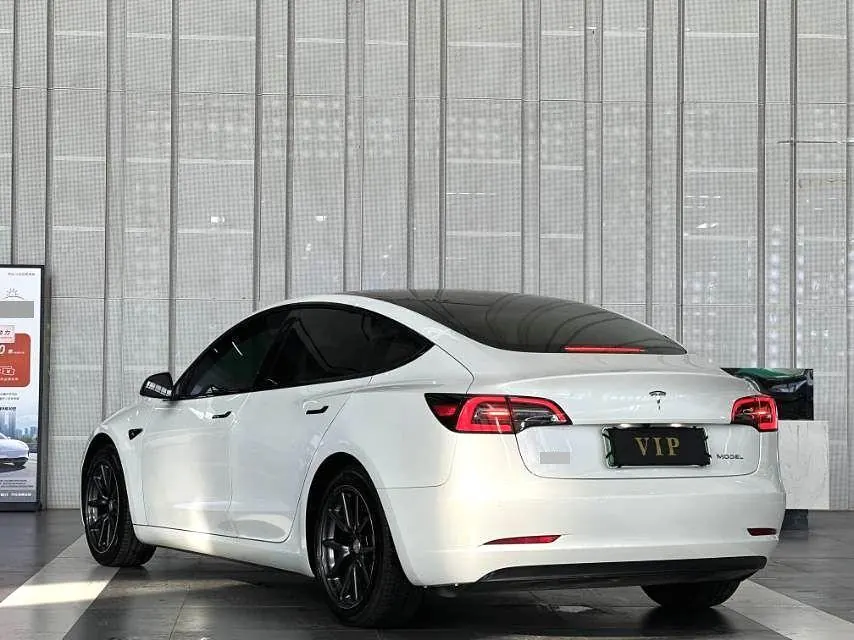 Tesla 2020 Model 3 Standard Endurance Rear Drive Upgraded Automatic Gear 8