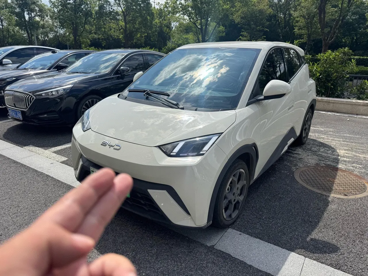 BYD 2025 Seagull 405km Flying Edition Automatic Gear - View 1
