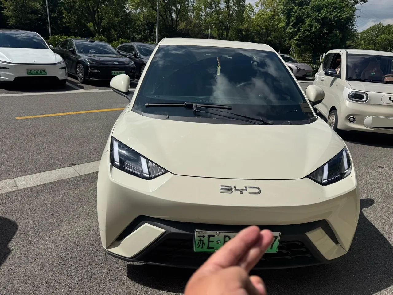 BYD 2025 Seagull 405km Flying Edition Automatic Gear 4