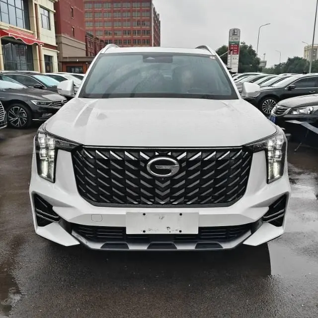 Chuanqi 2022 GS8 2.0TGDI Two-Drive Deluxe Zhilian Edition Seven-seat Automatic Gear 2