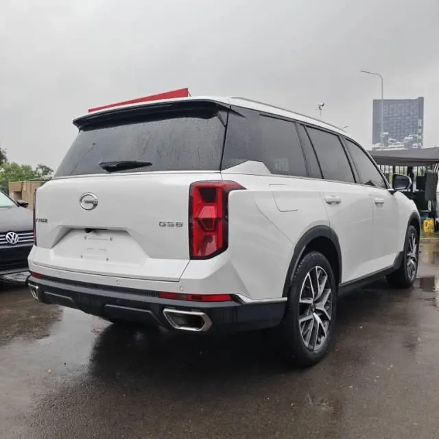 Chuanqi 2022 GS8 2.0TGDI Two-Drive Deluxe Zhilian Edition Seven-seat Automatic Gear 4