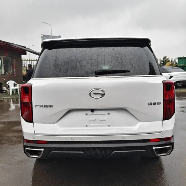 Chuanqi 2022 GS8 2.0TGDI Two-Drive Deluxe Zhilian Edition Seven-seat Automatic Gear 5