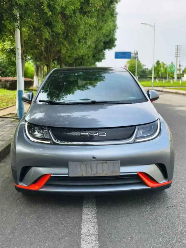BYD 2021 Dolphin 405km Fashion Edition Automatic 2