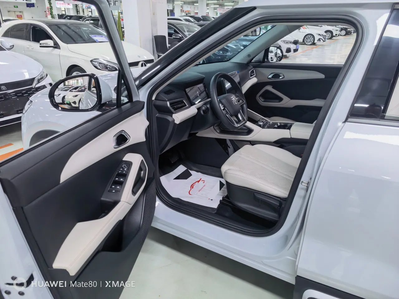 BYD 2024 Yuan UP 401KM Vital Edition Automatic Gear 8