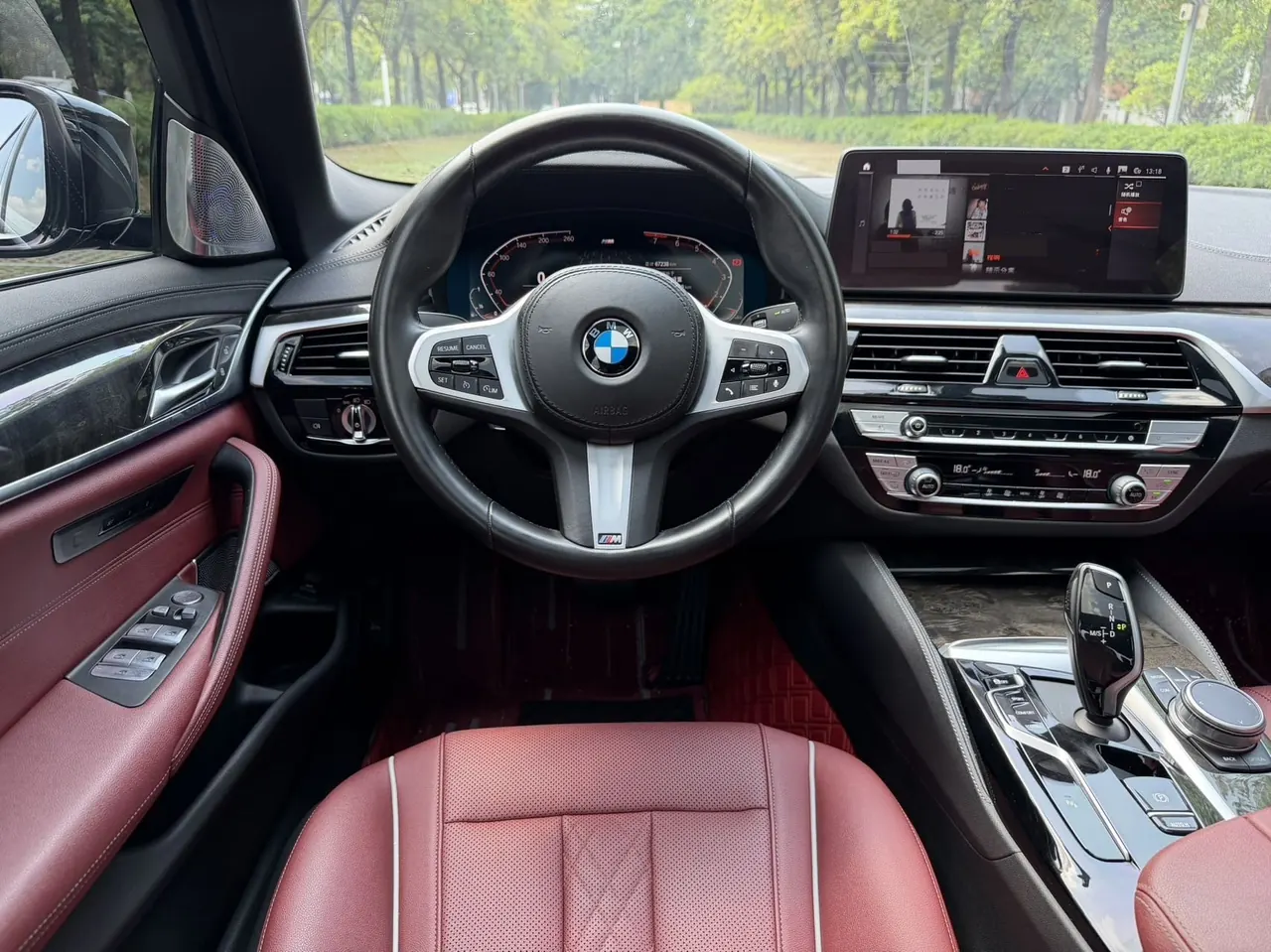 BMW 5 Series 2022 525Li 2.0T M Sports Suit (Modified) Automatic Gear 5