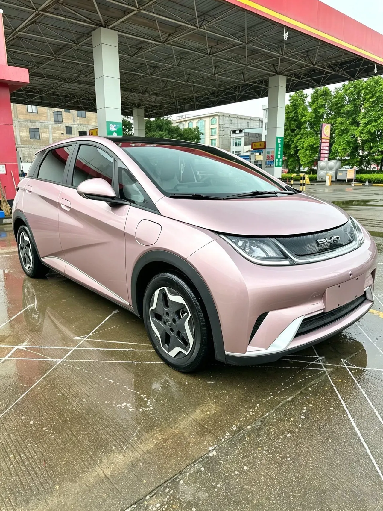 BYD 2021 Dolphin 405km Fashion Edition Automatic 3