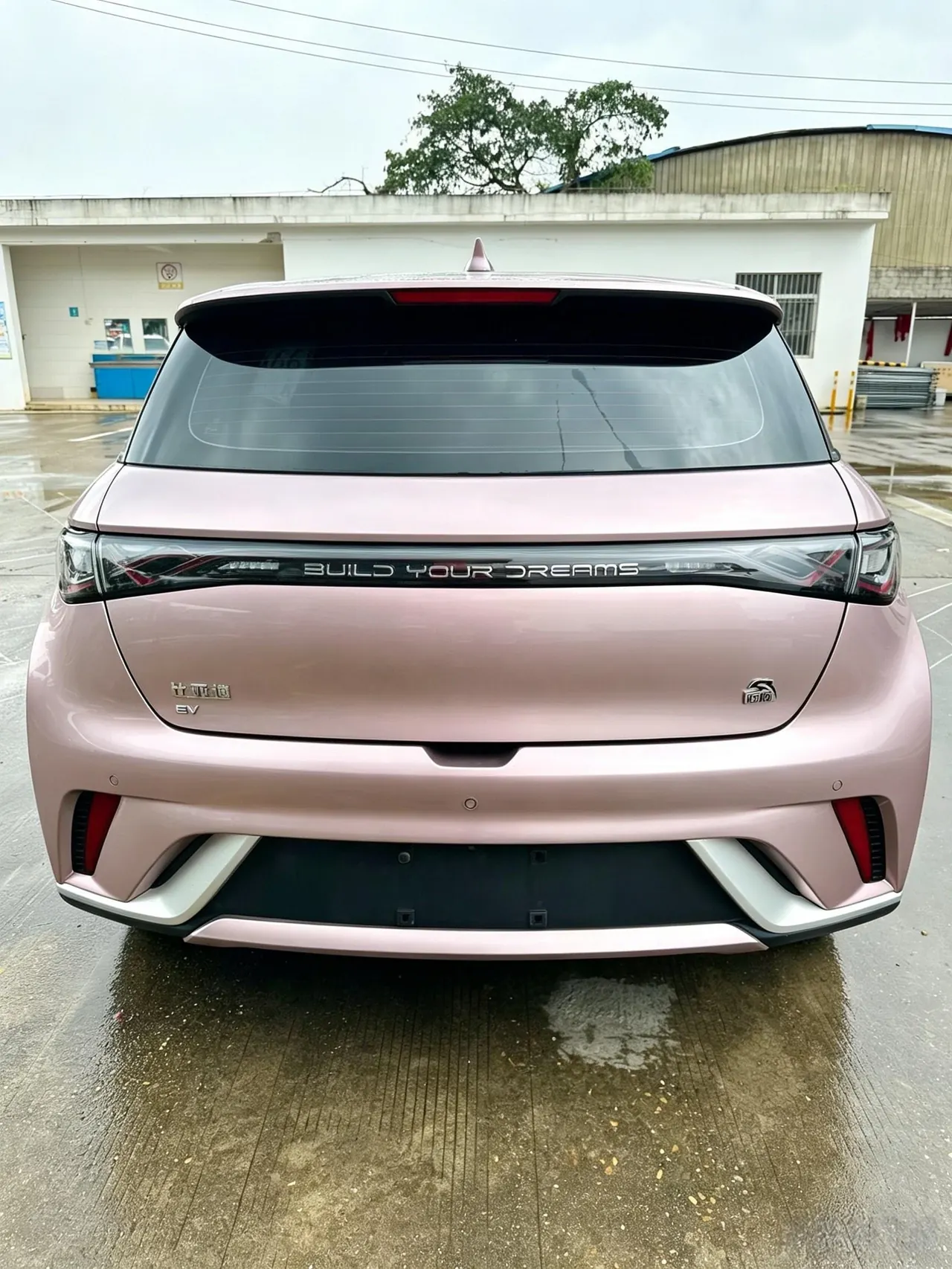 BYD 2021 Dolphin 405km Fashion Edition Automatic 5