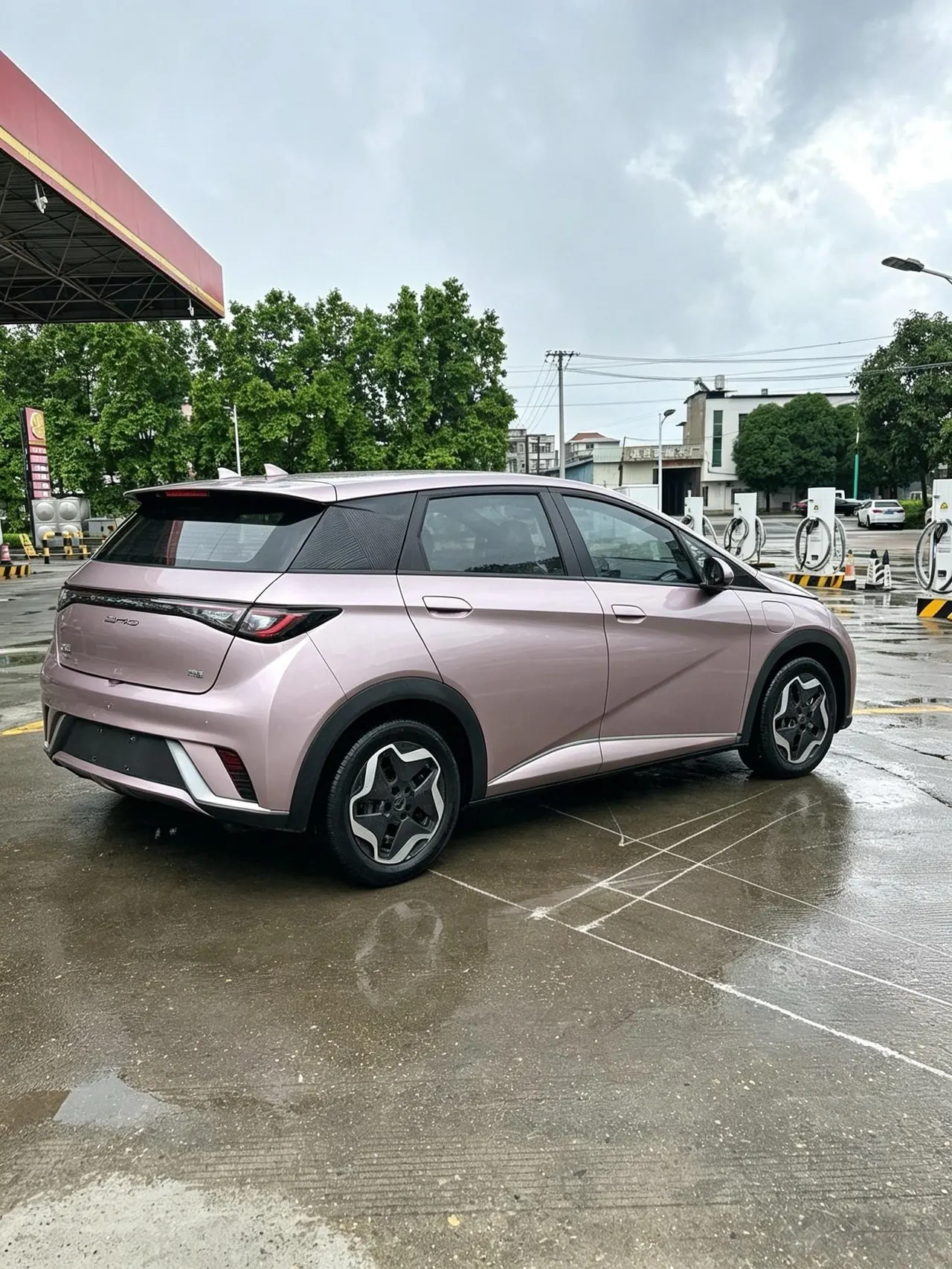 BYD 2021 Dolphin 405km Fashion Edition Automatic 6