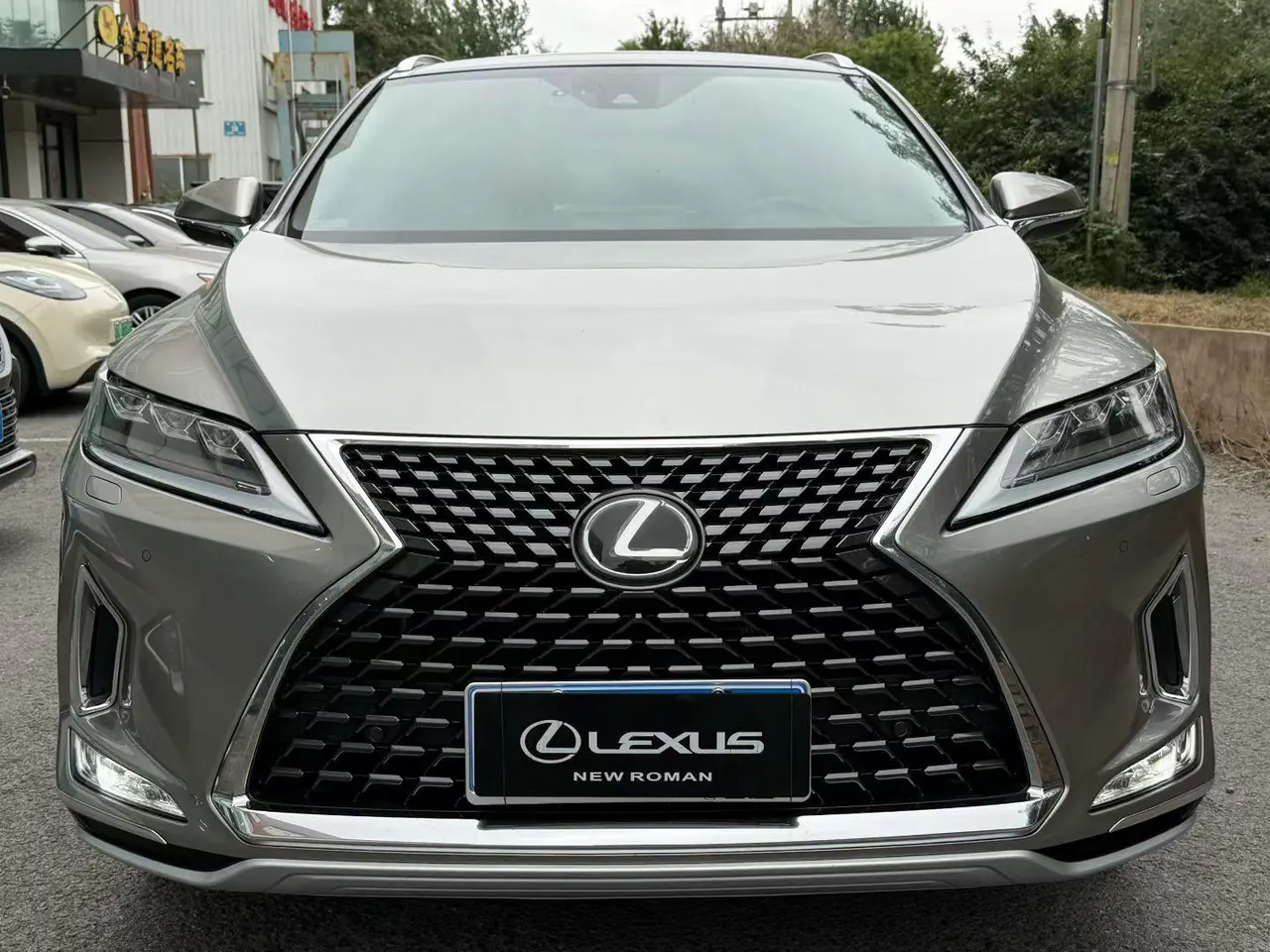 Lexus RX (Imported) 2020 RX300 2.0T Four-wheel Drive Elegant Automatic Gear 2