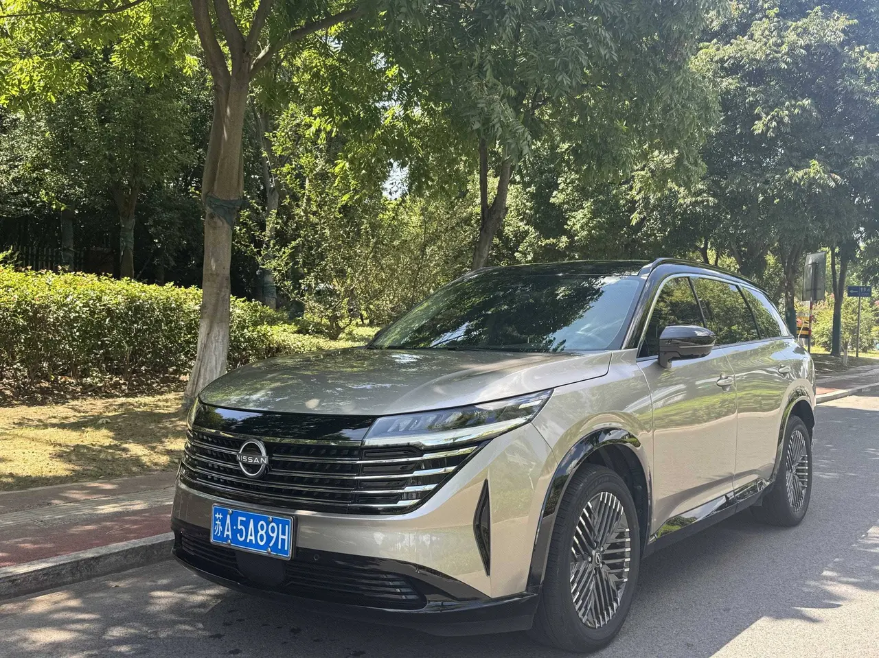 Nissan 2024 Land Exploration 2.0T 380VC-TURBO Four-wheel Drive Intelligent Driving Edition 6-seat Automatic Gear - View 1