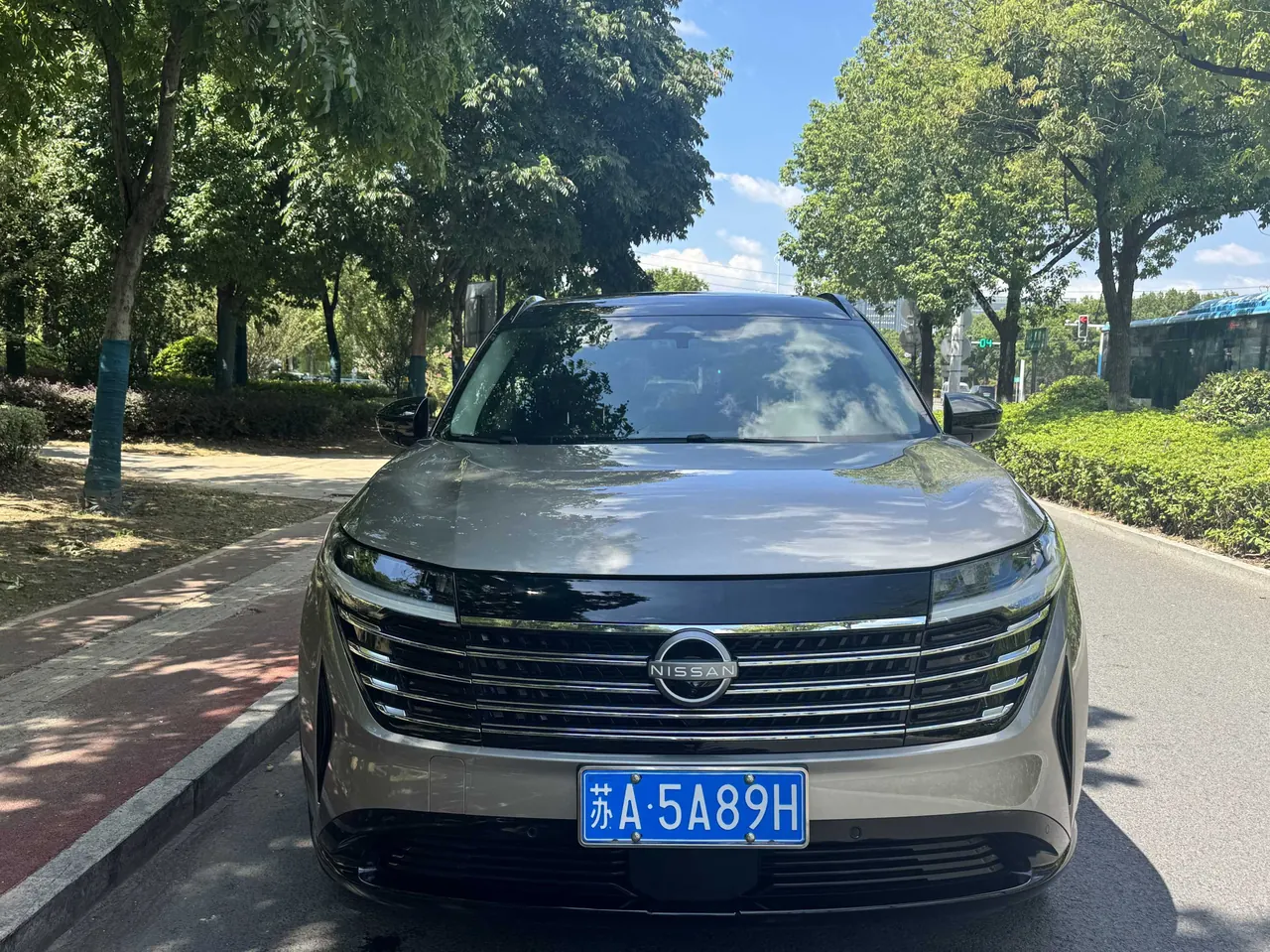 Nissan 2024 Land Exploration 2.0T 380VC-TURBO Four-wheel Drive Intelligent Driving Edition 6-seat Automatic Gear 3