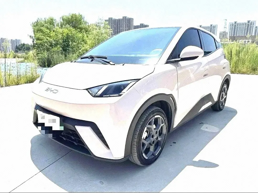 BYD 2025 Seagull 405km Flying Edition Automatic Gear - View 1