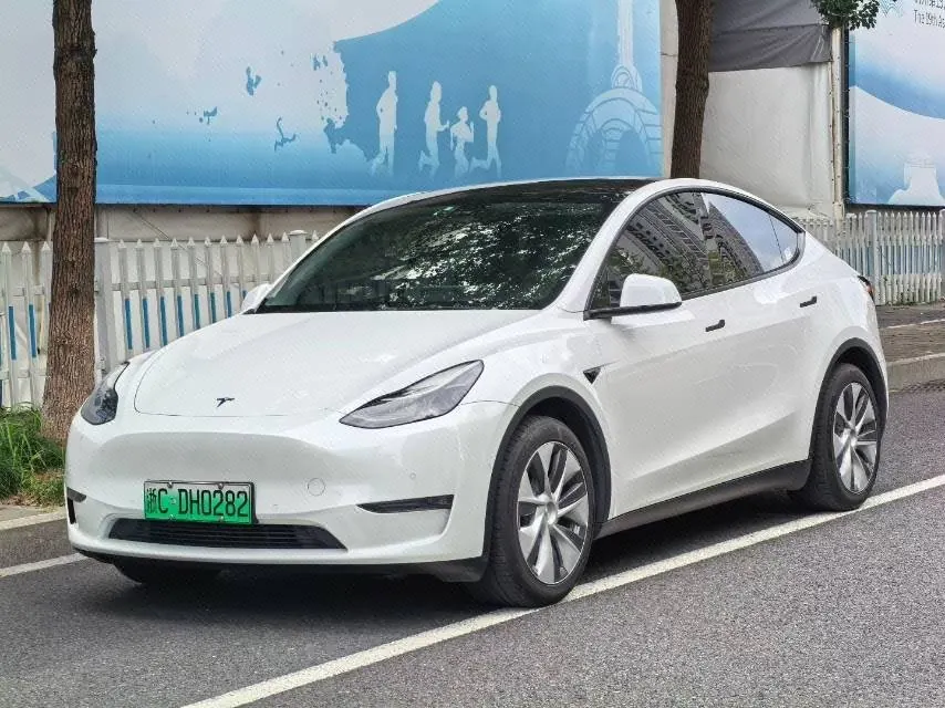 Tesla 2021 Model Y Standard Endurance Rear Drive Automatic Gear - View 1