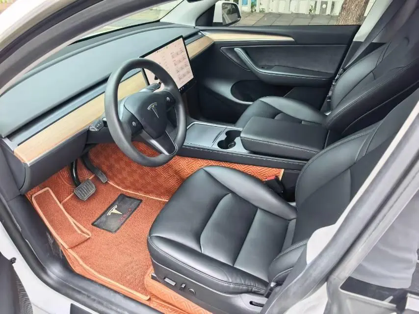 Tesla 2021 Model Y Standard Endurance Rear Drive Automatic Gear 4