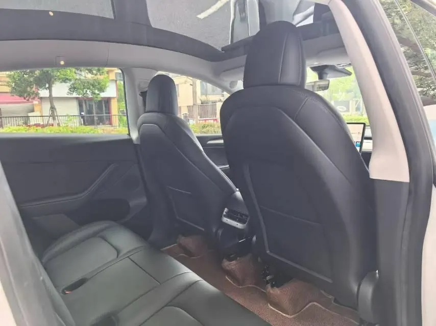 Tesla 2021 Model Y Standard Endurance Rear Drive Automatic Gear 6