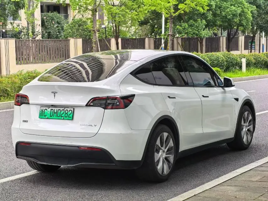 Tesla 2021 Model Y Standard Endurance Rear Drive Automatic Gear 7