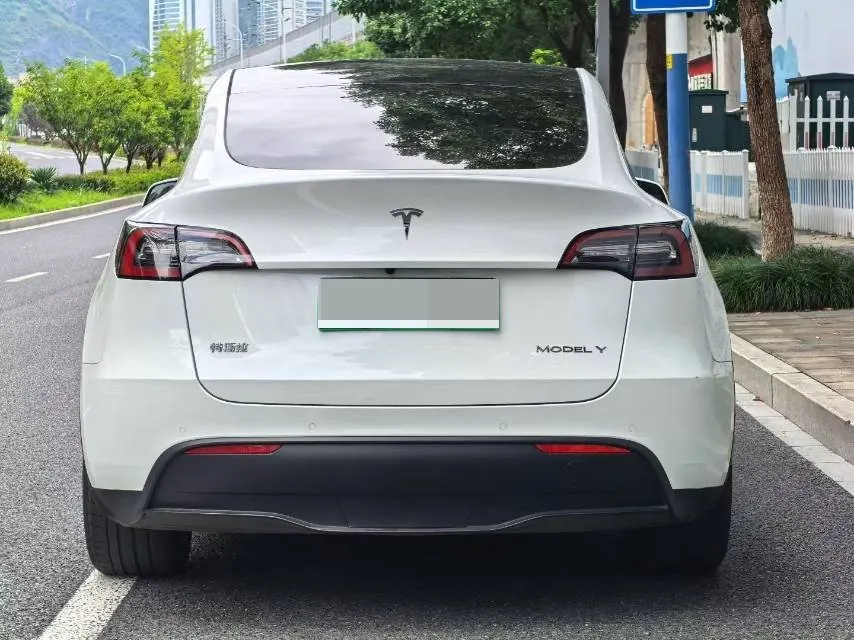 Tesla 2021 Model Y Standard Endurance Rear Drive Automatic Gear 8