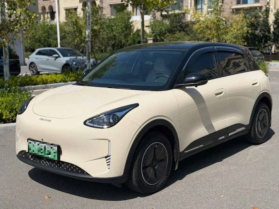 Geely 2025 Star Wish 310km Youth Edition Automatic Gear - View 1