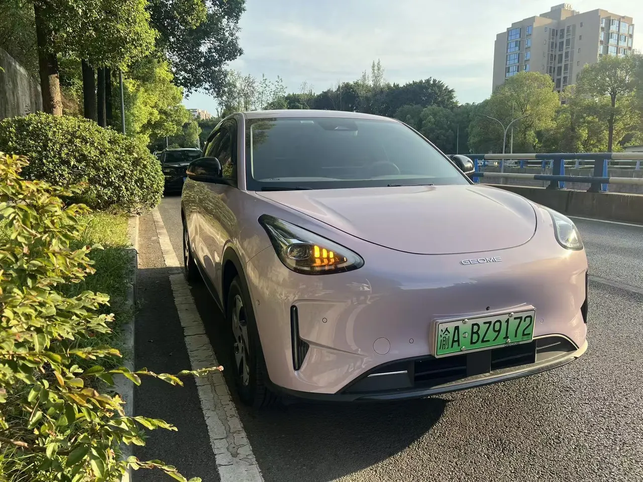 Geely 2026 Star Wish 480km Exploration Edition Automatic Gear 3