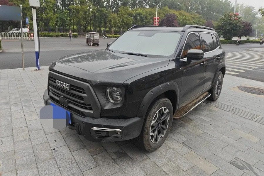 Haval 2024 big dog 2.0T Chinese garden dog version automatic gear - View 1