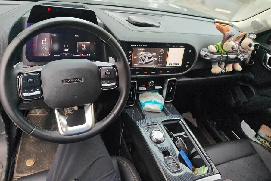 Haval 2024 big dog 2.0T Chinese garden dog version automatic gear 4