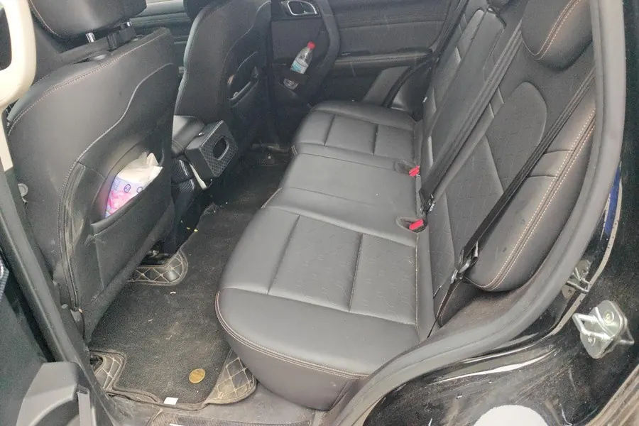 Haval 2024 big dog 2.0T Chinese garden dog version automatic gear 7