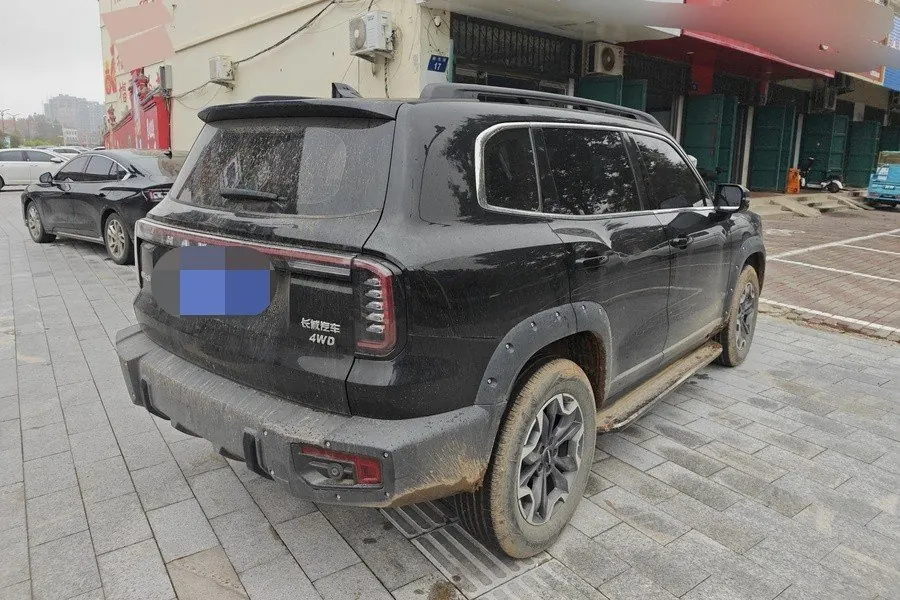 Haval 2024 big dog 2.0T Chinese garden dog version automatic gear 9