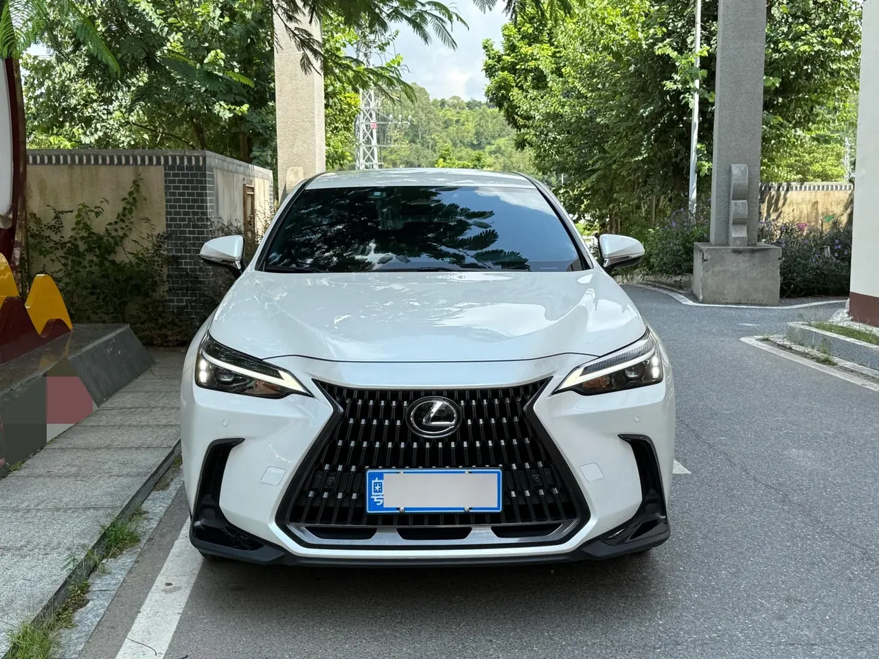 Lexus NX (Imported) 2024 NX350h 2.5 Stepless Creation Edition Automatic Gear 2