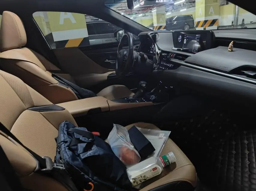 Lexus ES (Imported) 2020 ES300h 2.5 Stepless Excellence Edition Automatic Gear 4