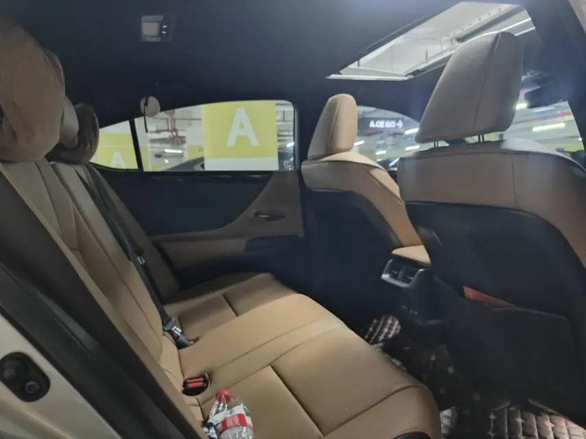 Lexus ES (Imported) 2020 ES300h 2.5 Stepless Excellence Edition Automatic Gear 6