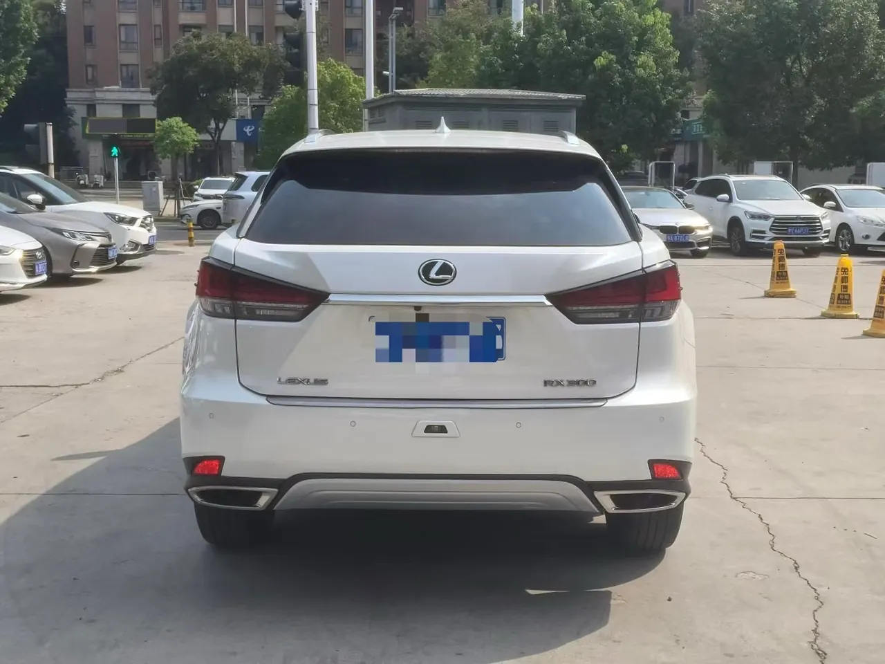 Lexus RX (Imported) 2020 RX300 2.0T Four-wheel Drive Elegant Edition (Modified) Automatic Gear 5