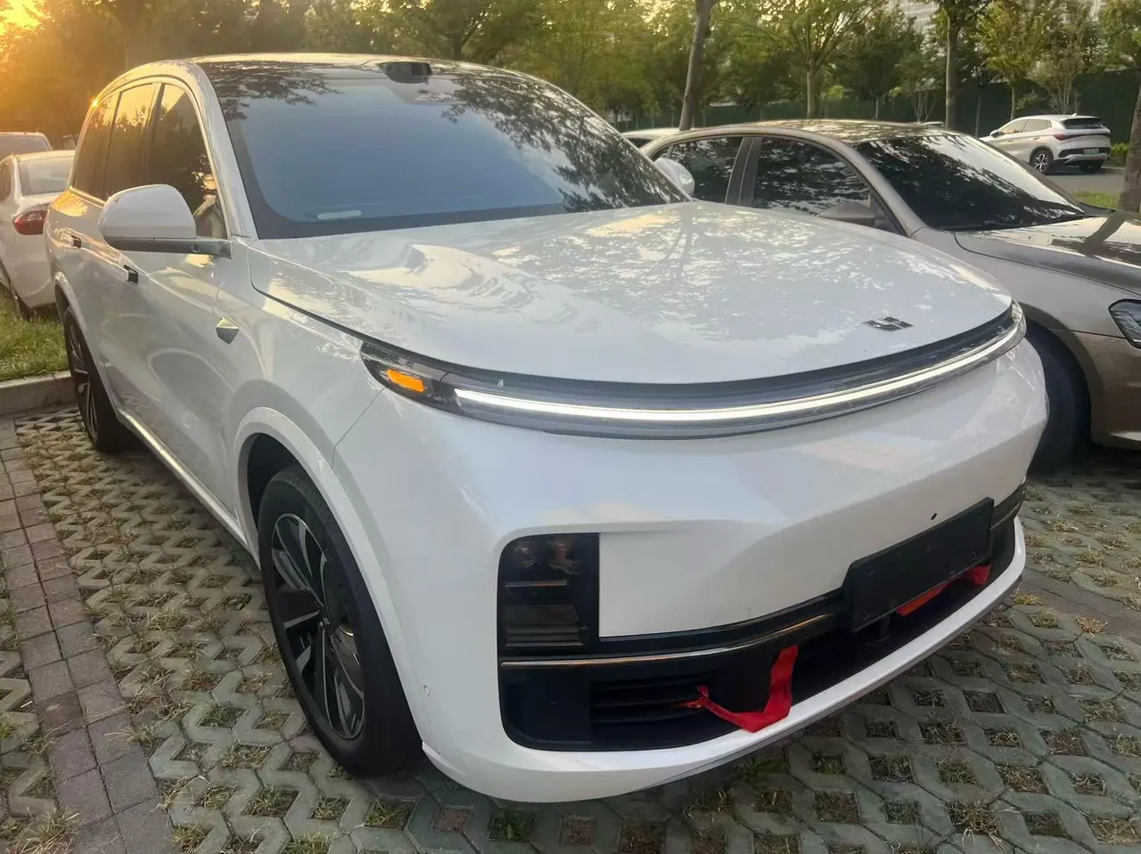 Li 2025 L8 Pro Intelligent Rejuvenation Automatic Gear 3
