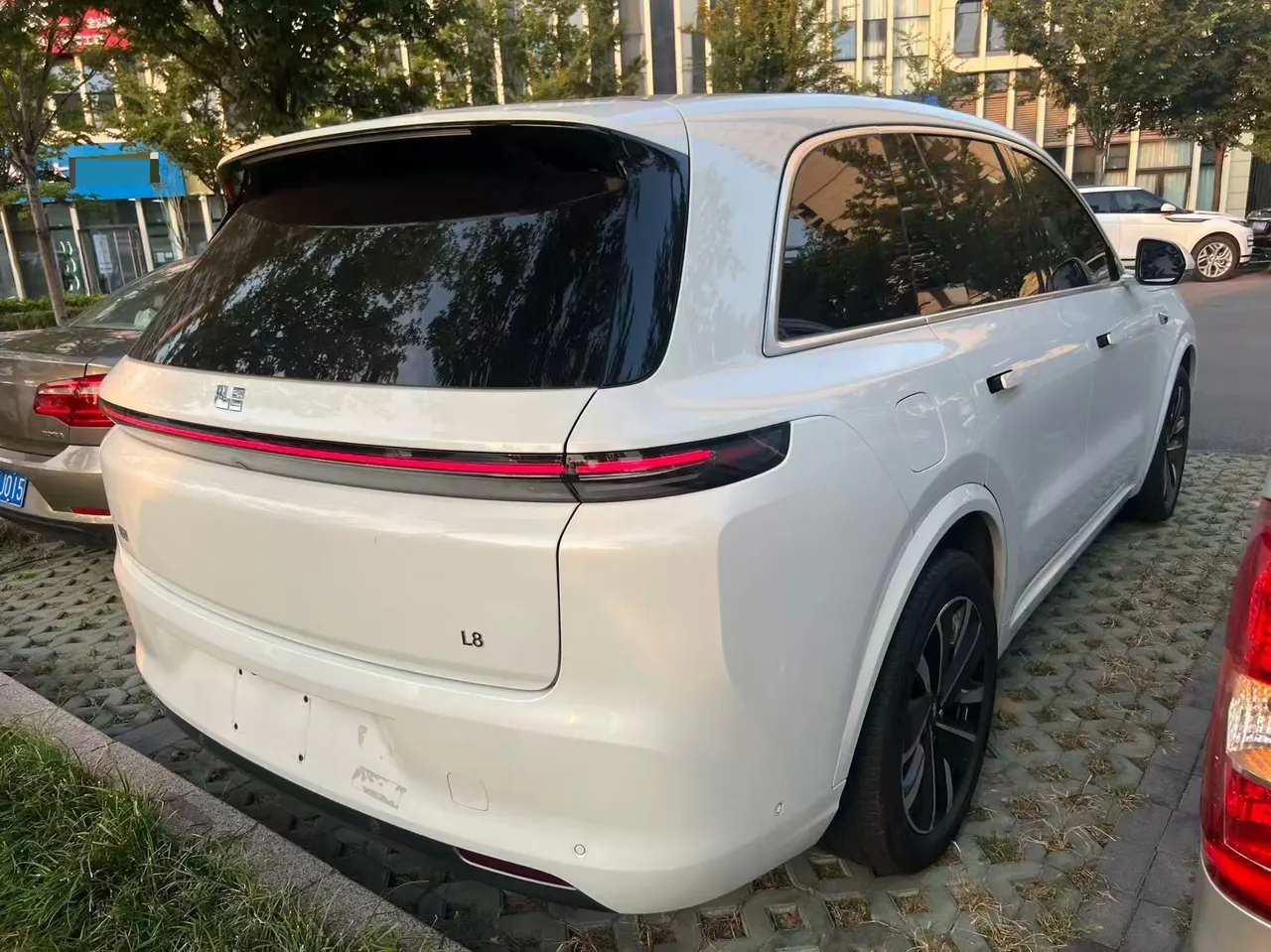 Li 2025 L8 Pro Intelligent Rejuvenation Automatic Gear 4