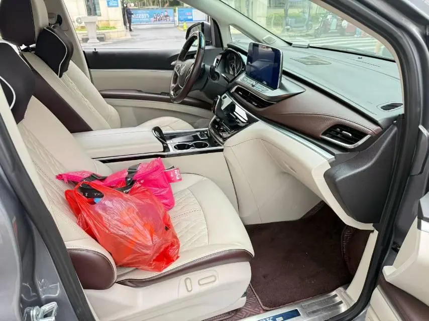 Buick 2021 GL8 Land Business Class 2.0T 652T Comfortable Automatic Gear 5