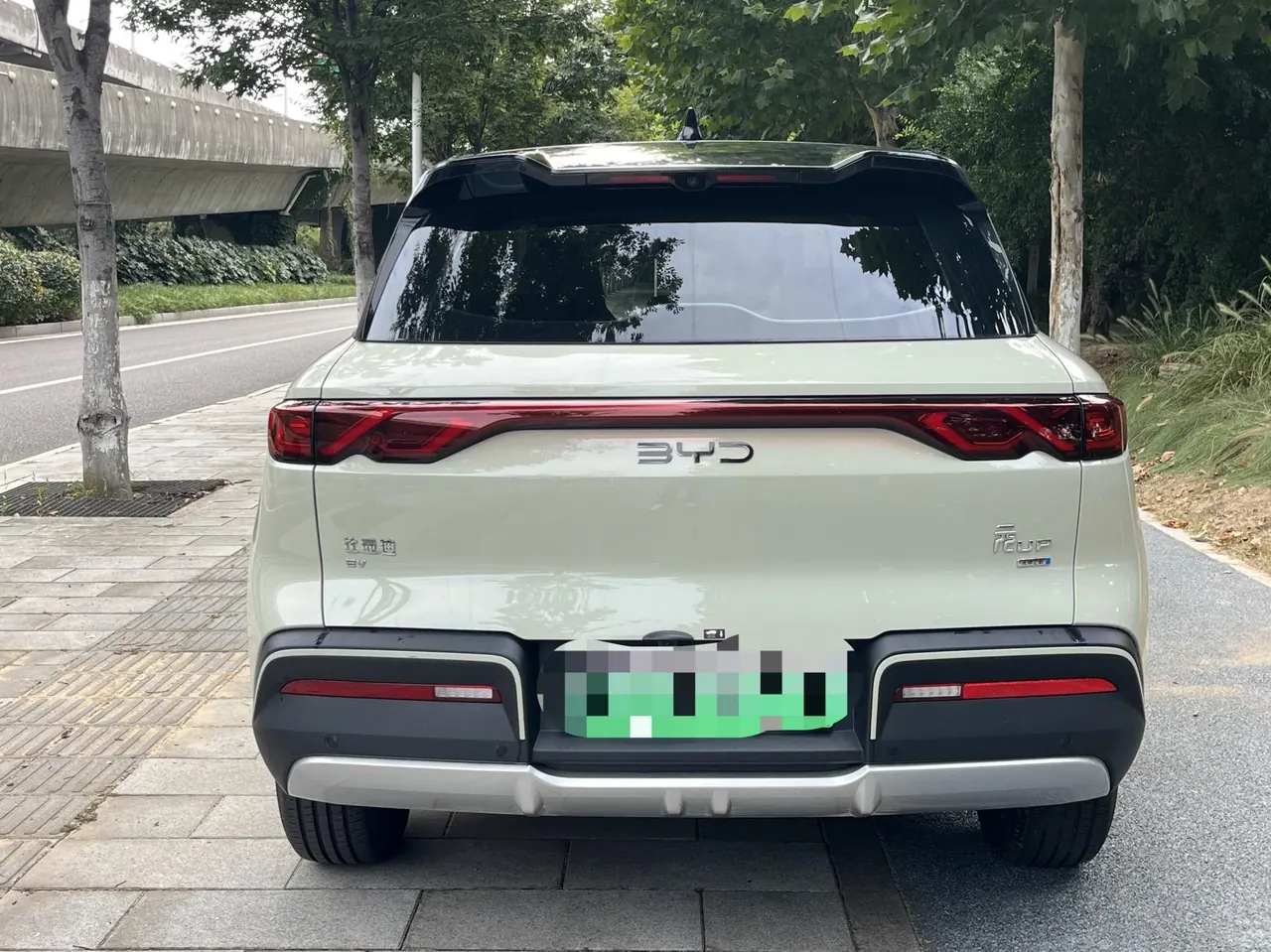 BYD 2025 Yuan UP Smart Driving 401KM Vital Automatic Gear 8