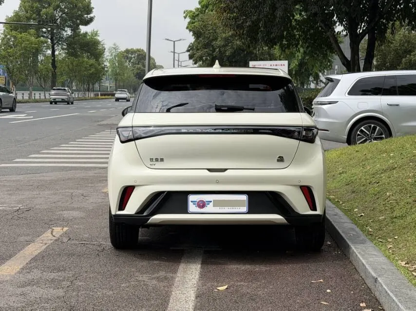 BYD 2023 Dolphin 420km Fashion Edition Automatic 3