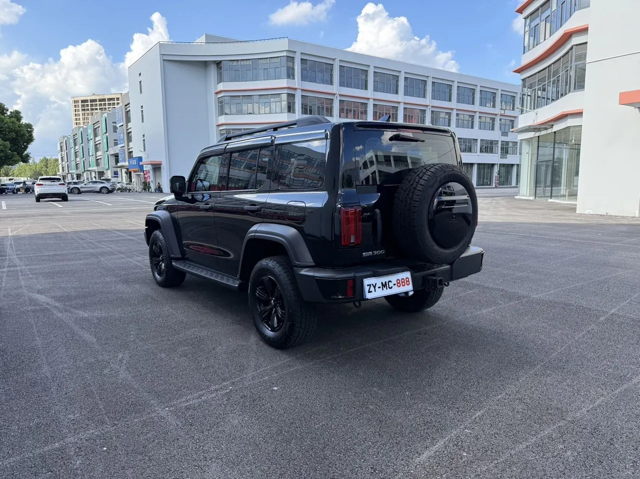 Tank 2023 Tank 300 2.0T Off-road Conqueror Automatic 12