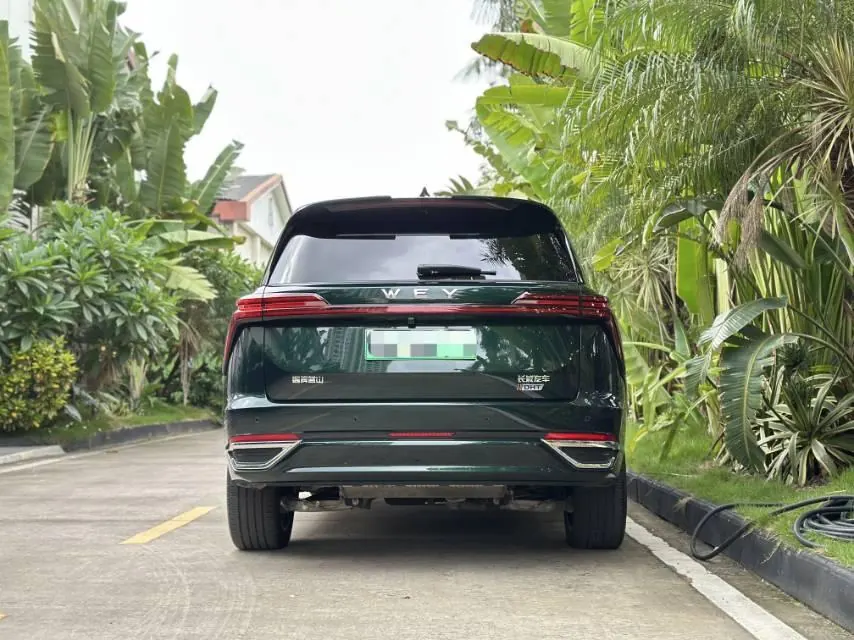 WEY 2023 Blue Mountain DHT 4WD Long Endurance Edition Automatic Gear 4